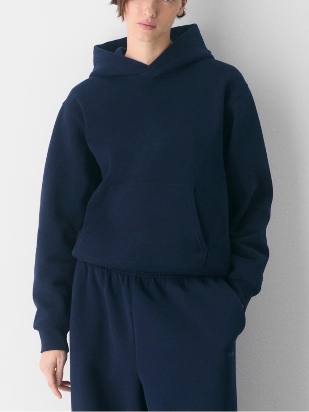 Aritzia Cozy Sweatfleece Perfect Hoodie